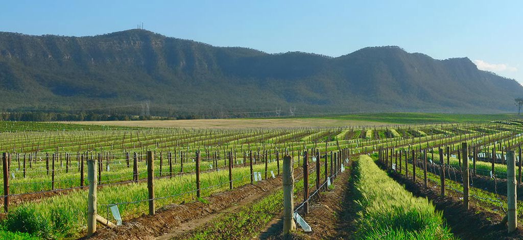Holidays to Hunter Valley