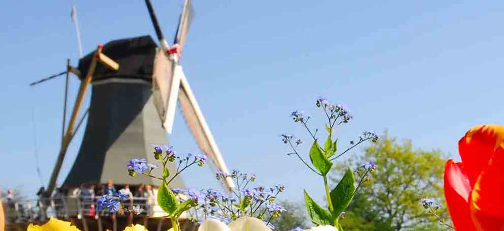 Holidays to Lisse
