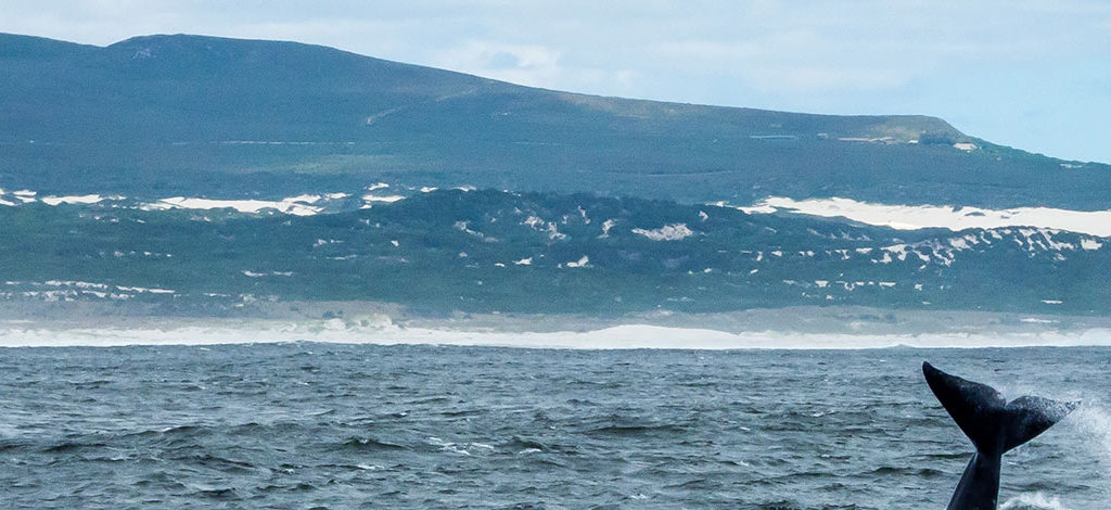 Holidays to Hermanus