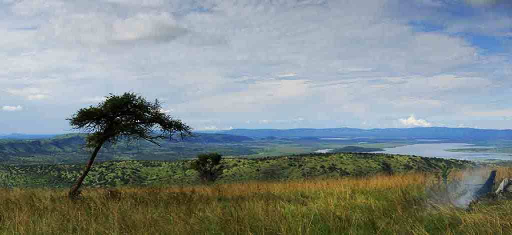 Hotels in Nyamasheke Nyungwe Forest Reserve