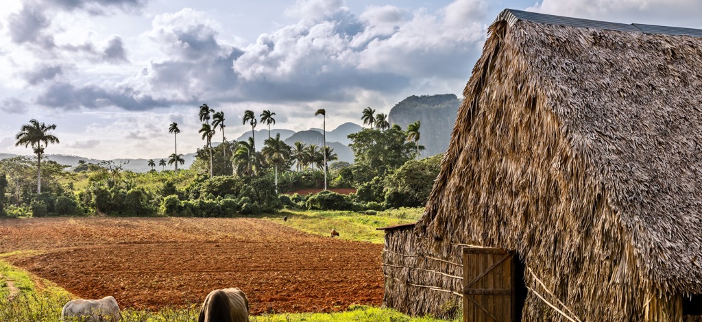 Hotels in Vinales