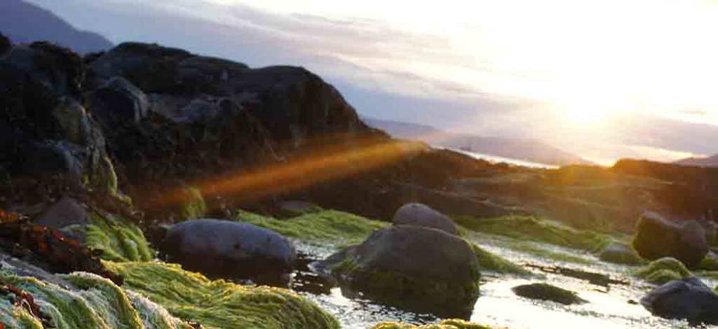 Hotels in County Down