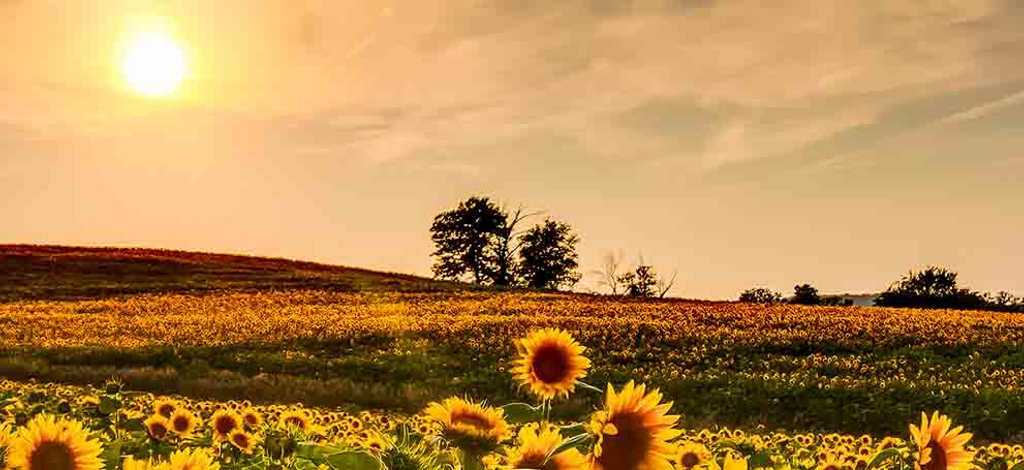 Hotels in Kansas