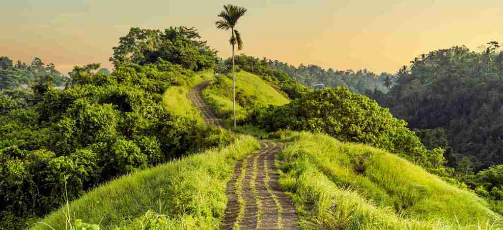 Holidays to Ubud