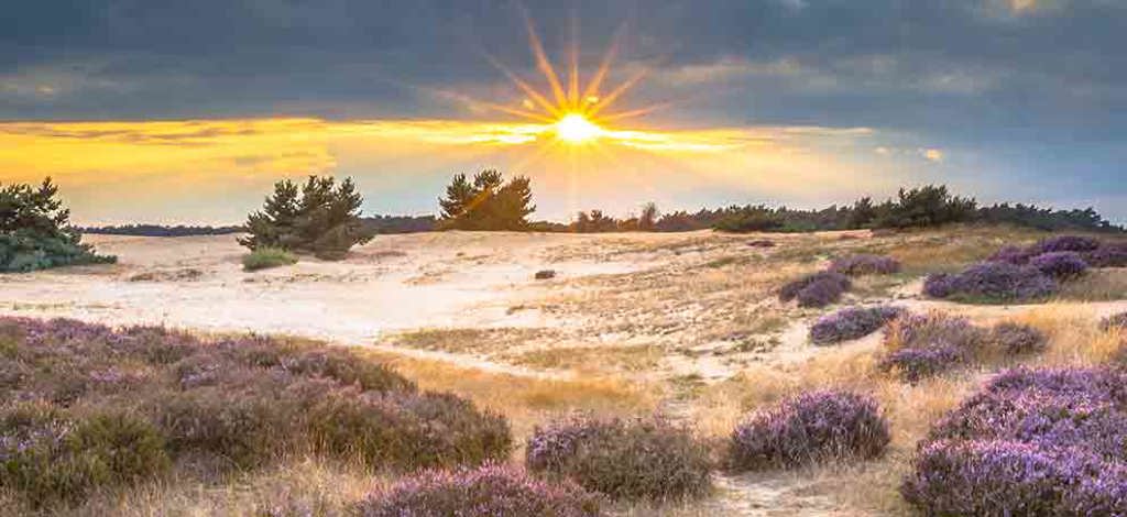 Holidays to Emmeloord