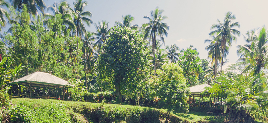 Holidays to Lalomanu