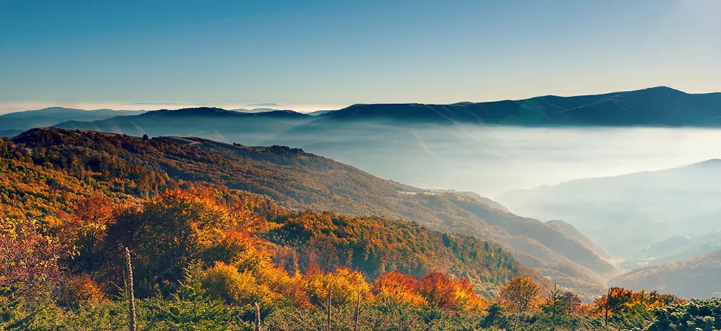 Hotels in Serbia