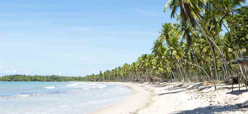 Holidays to Praia de Forte