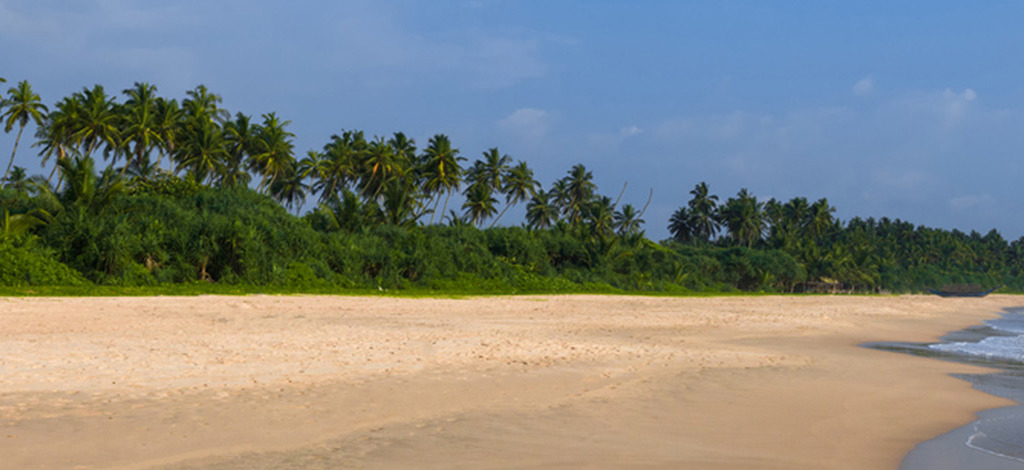 Hotels in Bentota
