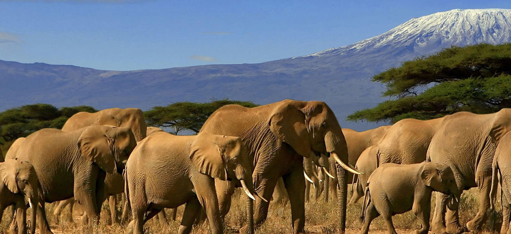 Hotels in Kenya