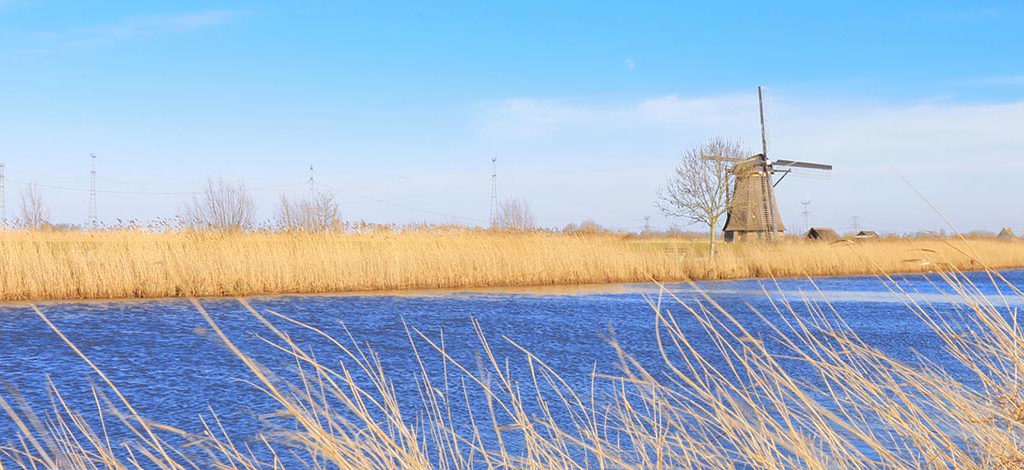 Holidays to Hoofddorp