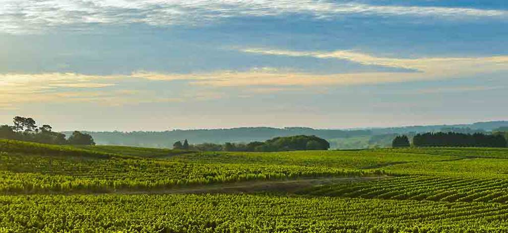 Hotels in Gironde