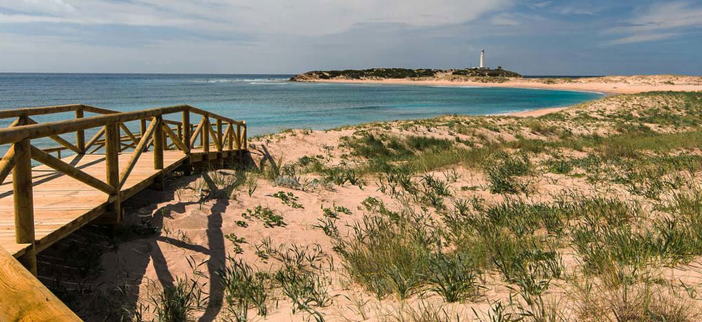 Hotels in Tarifa