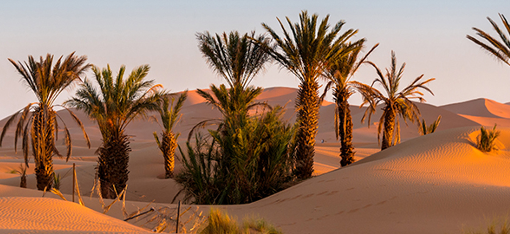 Hotels in Douar Bou Azza