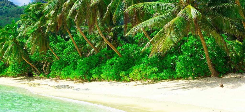 Hotels in Colva