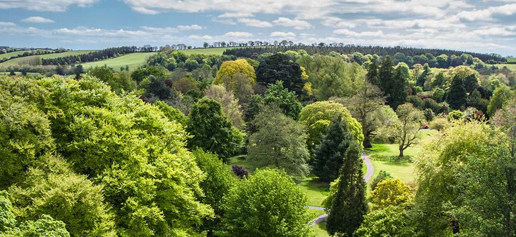 Hotels in Blarney