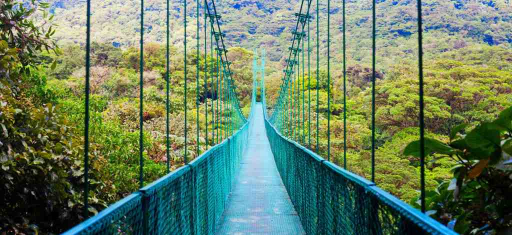 Holidays to Monteverde
