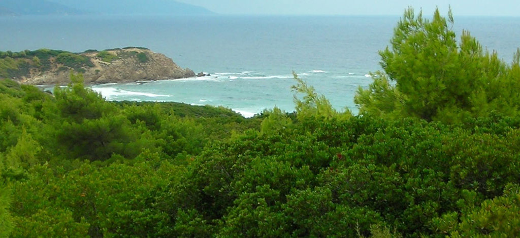 Holidays to Aselinos