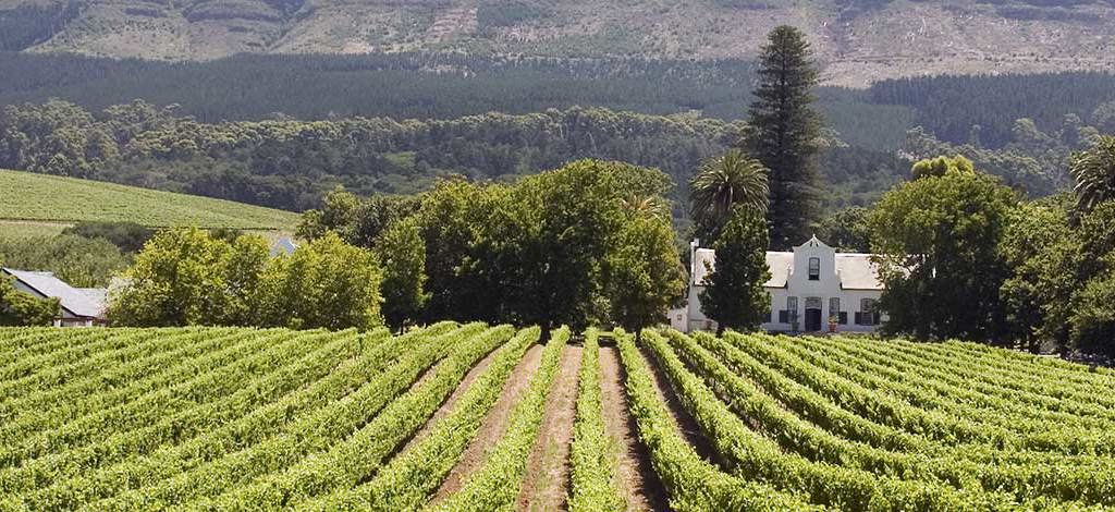 Holidays to Paarl