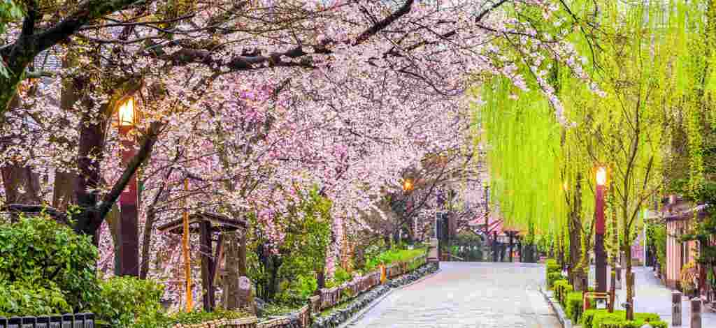 Holidays to Nishikyo-ku