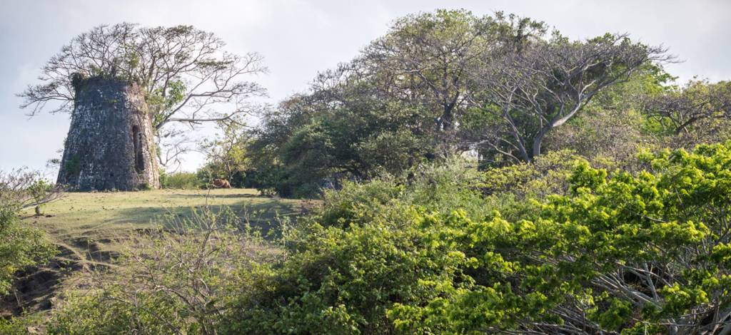 Hotels in Lucea