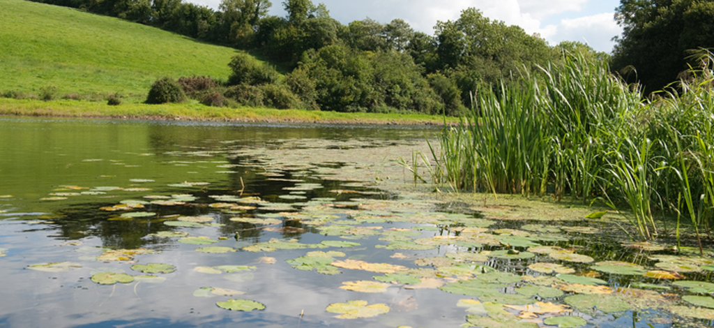 Holidays to Cavan